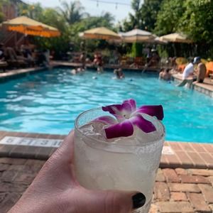 Meet your Posher, Alyson